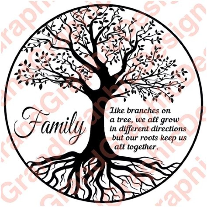 A Spotlight On Her Family Roots