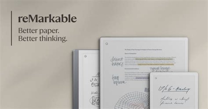 Analyzing The Remarkable Work Of Rochele See