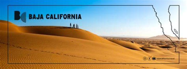 Baja California Twittersphere: Stay Connected With #BajaSurfers
