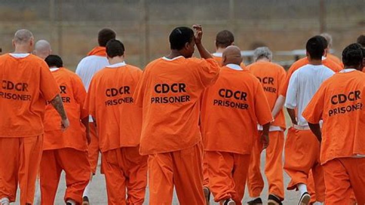 Captivating Prison Life: Witness The Reality Of Prisoners' Experiences