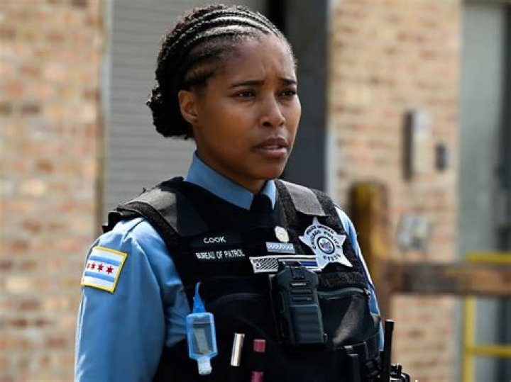 Chicago P.D. Cast Member's Tragic Demise: Mourning A Beloved Character