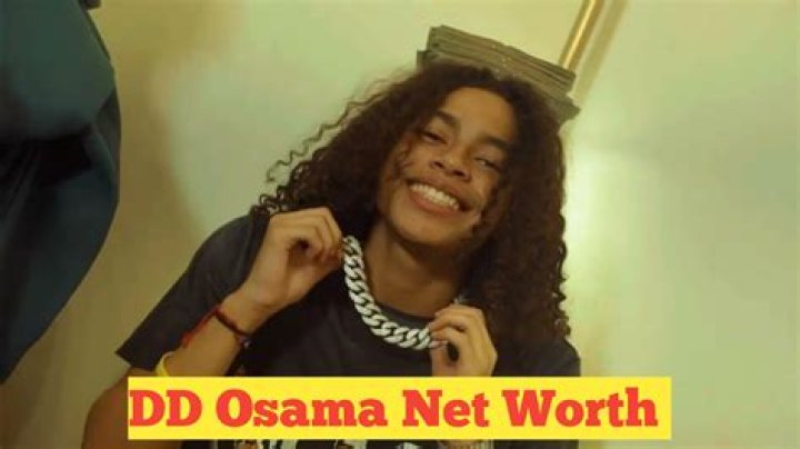 Dd Osama Net Worth