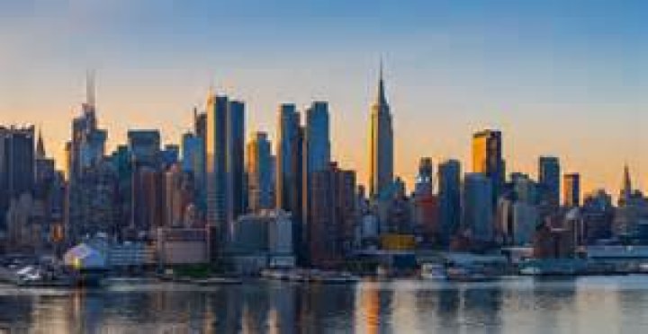 Discover Alpo From New York: The Ultimate Guide