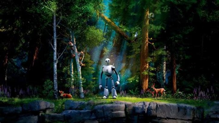 Discover The Adventure Of Love In The Wild Skip