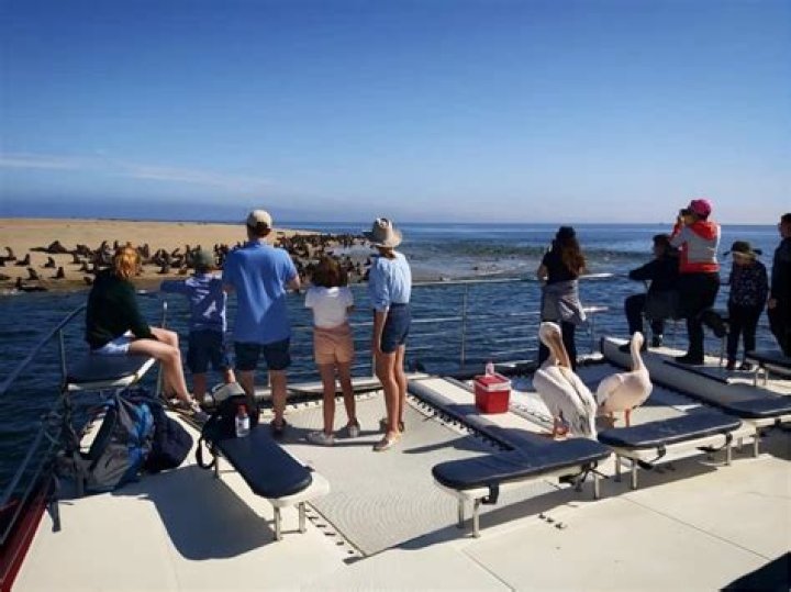 Discover The Enchanting Outerbanks: A Coastal Adventure