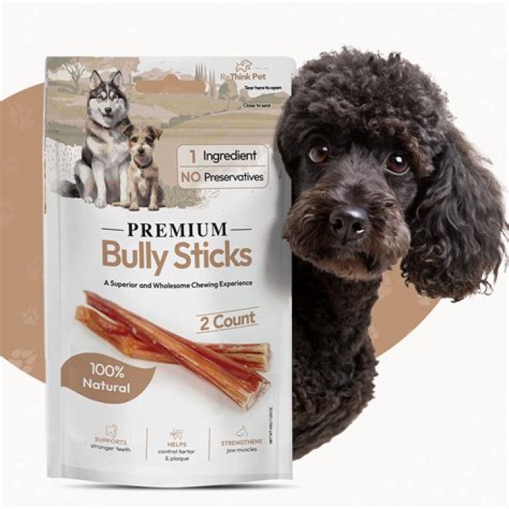 Discover The Extraordinary: Buy Your Premium Bully Kumbomva
