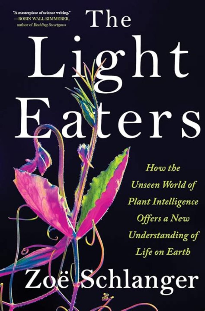 Discover The Unseen World Of Bubbles Summer Walker Daughter
