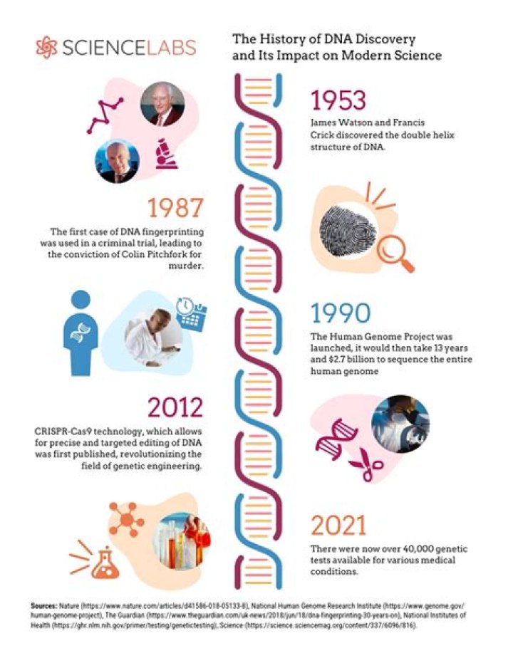 Discoveries And Insights You Can't Miss