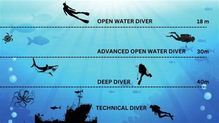 Dive Into The Deep: Discover "20 Meters Down" Today!