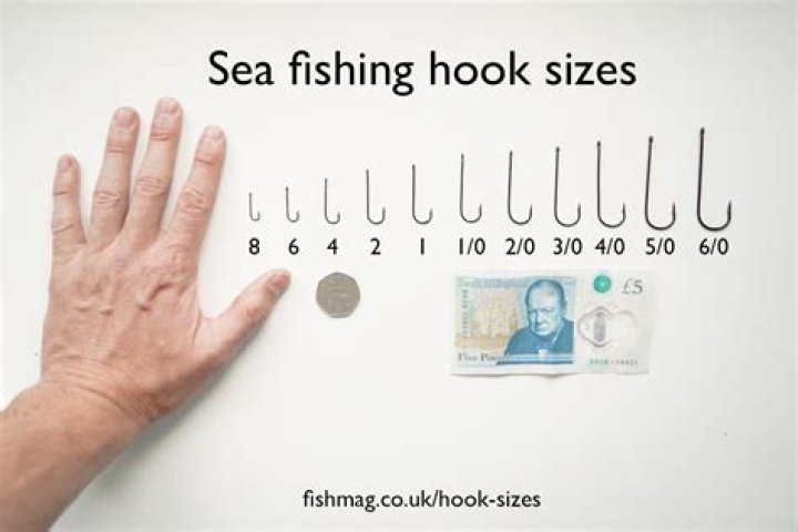 Erik A. Hooks: A Leading Expert In [Field]