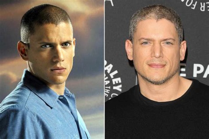 Exploring The Dynamic World Of Wentworth Miller Movies And TV Shows