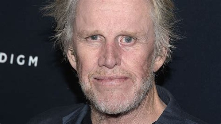 Gary Busey's Downfall: From Hollywood Star To Troubled Realities