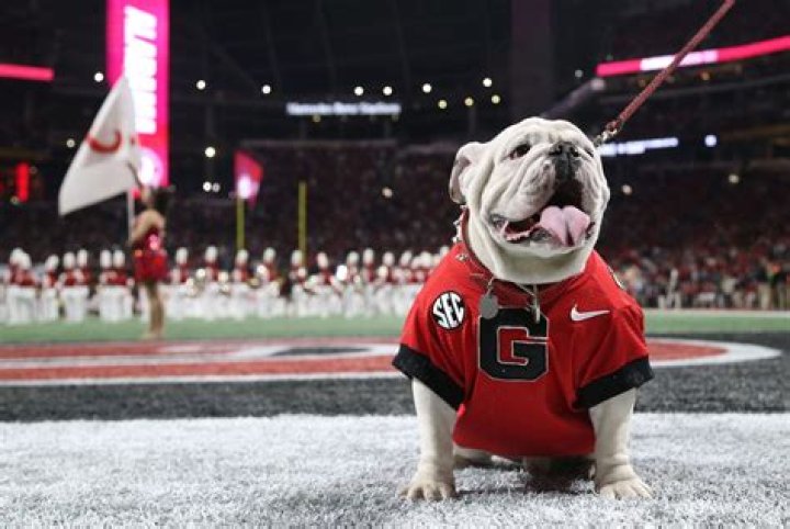 Is Stetson Bennett's Illness Impacting The Georgia Bulldogs?