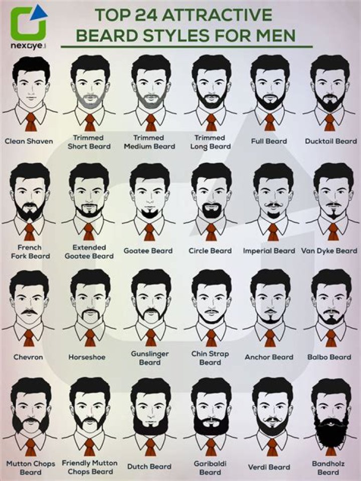 Jeff Goldblum's Iconic Beard: The Definitive Guide