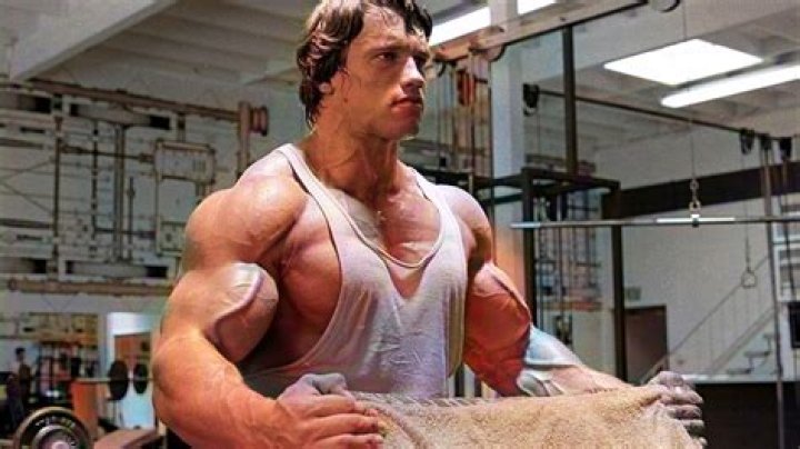 Learn The Origins: Arnold Schwarzenegger's Cinematic Debut