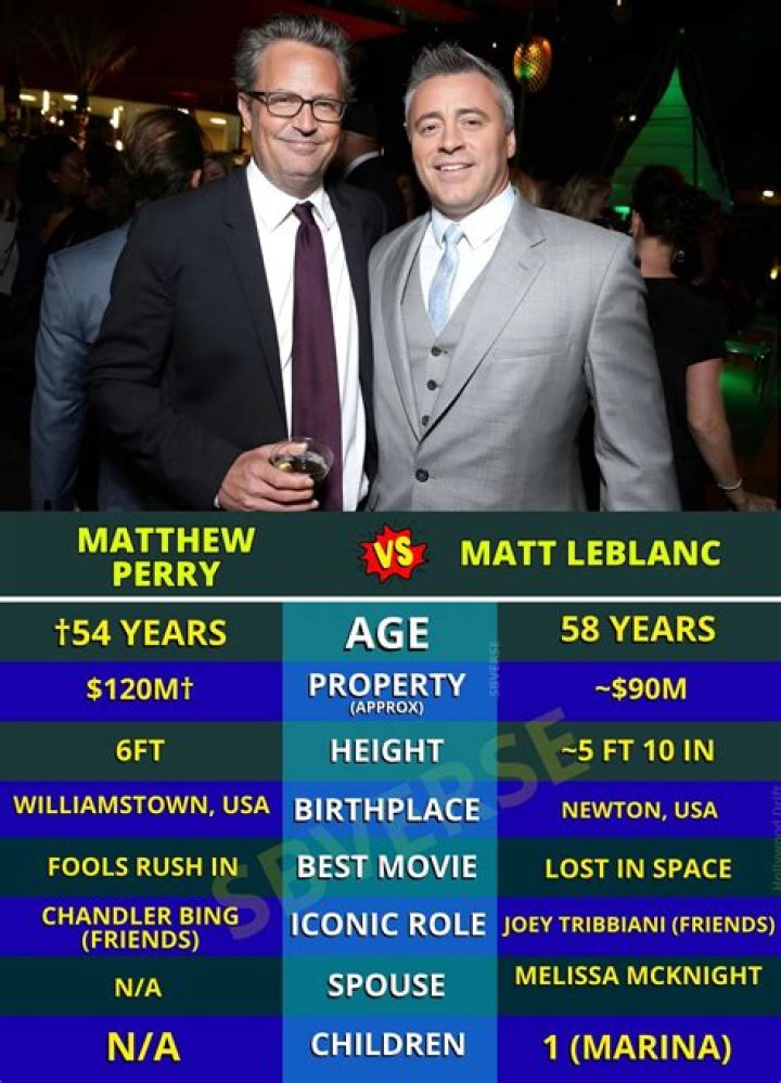 Matthew Perry's Significant Age Milestone: Exploring His Age In 1994