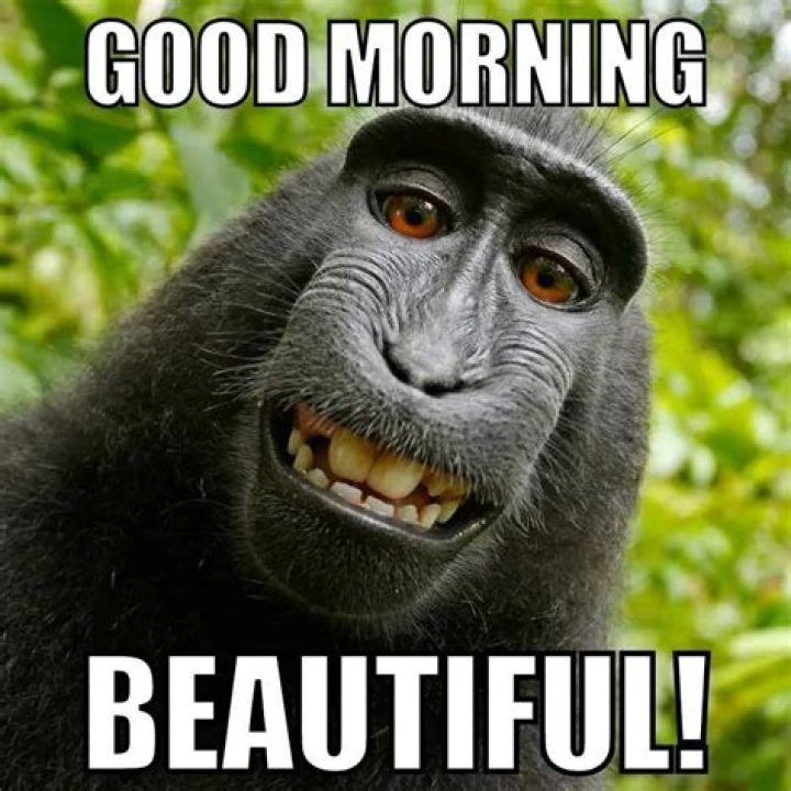 Memes About Mornings