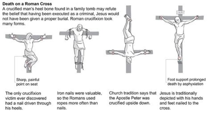 Outrageous Act: Student's Cruel Crucifixion Of Rat Exposed