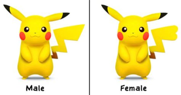 Pikachu Tail Difference