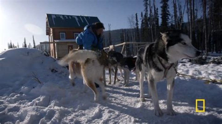 Remembering Andy Bassich: An Alaskan Legend's Legacy