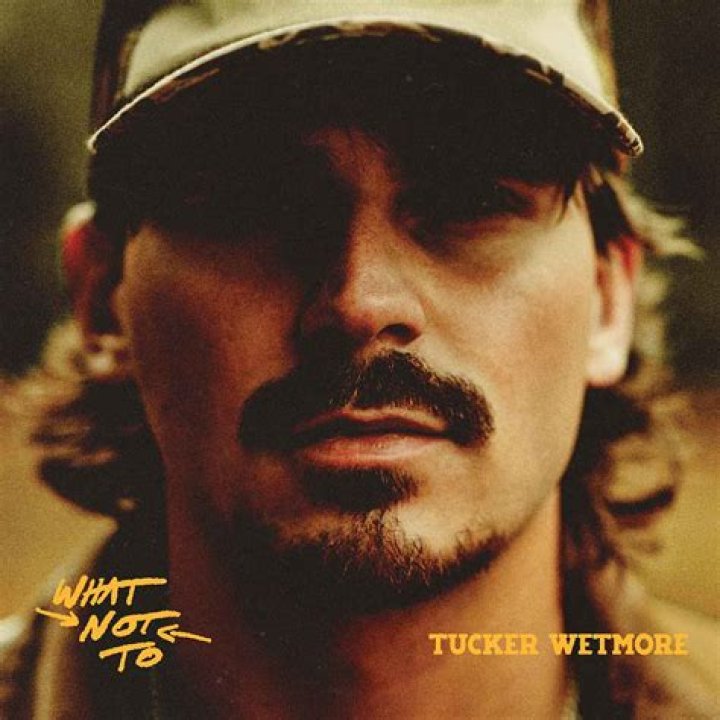 The Captivating Journey Of Tucker: A Young And Restless Spirit