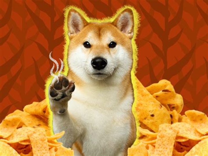 The Curious Case Of Sweat: Why Does It Smell Like Corn Chips?