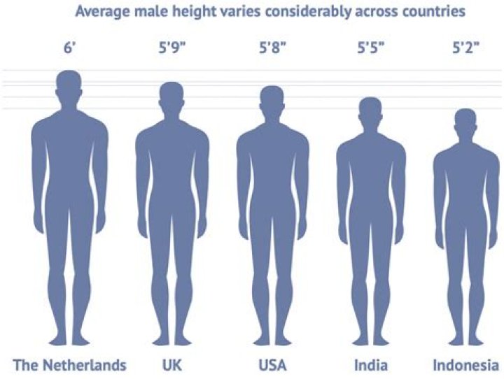 The Definitive Guide To Zach Bryan's Height: Measurements And Facts