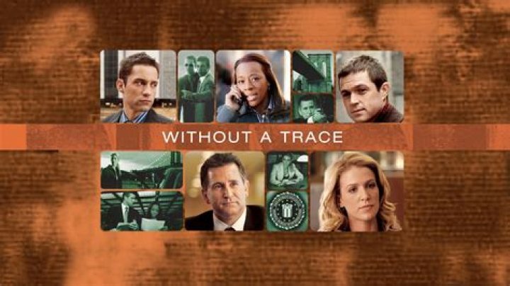 The Disappeared Stars Of "Without A Trace": Their Present-Day Whereabouts Revealed