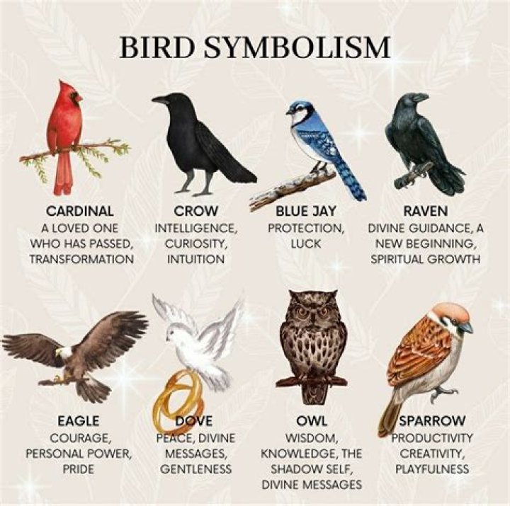 The Enigmatic Symbolism Of The Bird Of Death