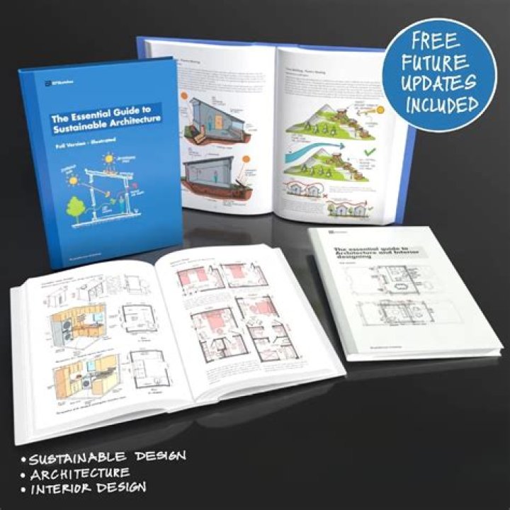 The Essential Guide To Cindy Antonucci Ameen: Insights And Success