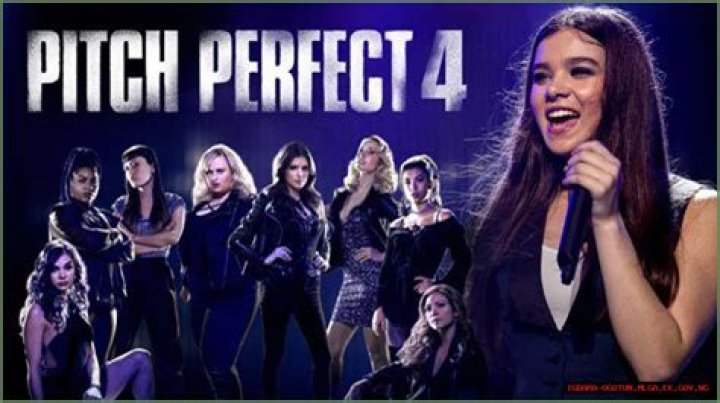 The Evolution Of Fat Amy From Pitch Perfect: A Transformative Journey