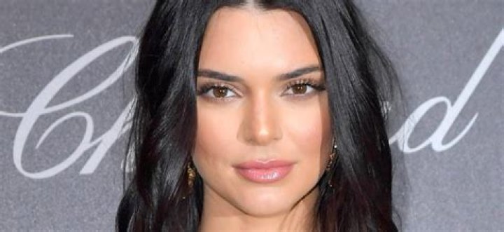 The Ultimate Guide To Devoted Kendall Jenner Fans