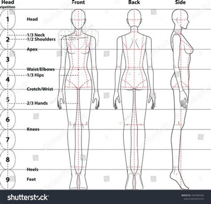 The Ultimate Guide To Leg Proportions: Achieving Perfect Symmetry