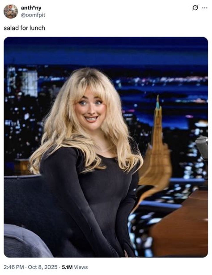 The Ultimate Guide To Understanding "Fat Sabrina Carpenter"
