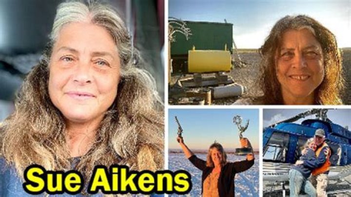 Uncover The Riches: Susan Aikens' Extraordinary Net Worth Revealed