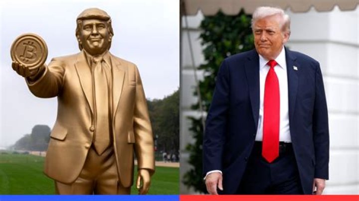 Unveiling Donald Trump Jr's Weight: An Astonishing Revelation!