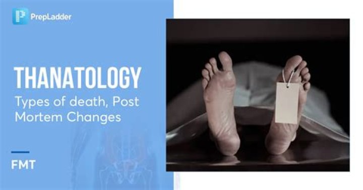 Unveiling Tarrare's Extraordinary Organs: A Post-Mortem Examination