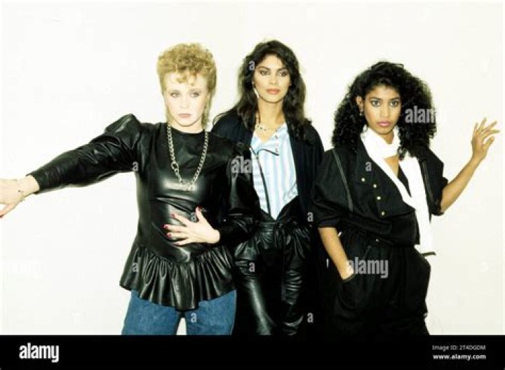 Unveiling The Intriguing Dynamics Of Vanity Singer Relationships