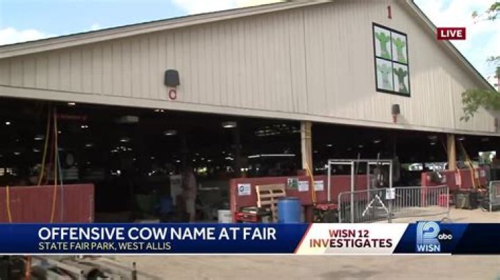 Unveiling The Offensive Controversy: Wisconsin Cow Name Debate