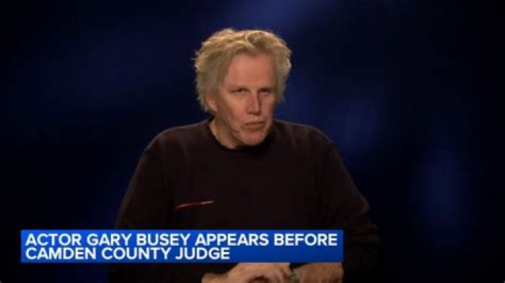 Who Is The Person Who Gary Busey Partners With?