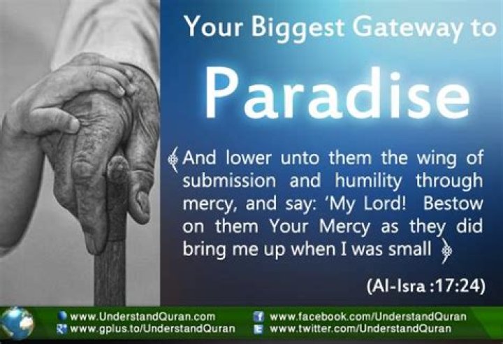Your Gateway To Paradise And Culture